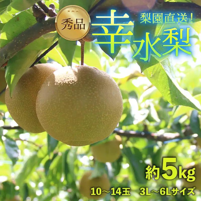 【先行予約】上野梨園の幸水梨 10～14玉入 約5kg  3L～６L【秀品】《数量限定》梨園直送！ / 期間限定 果物 フルーツ 農家直送 シャキシャキ もぎたて 旬 お取り寄せ ※2027年8月下旬より順次発送 [aw077-a020]
