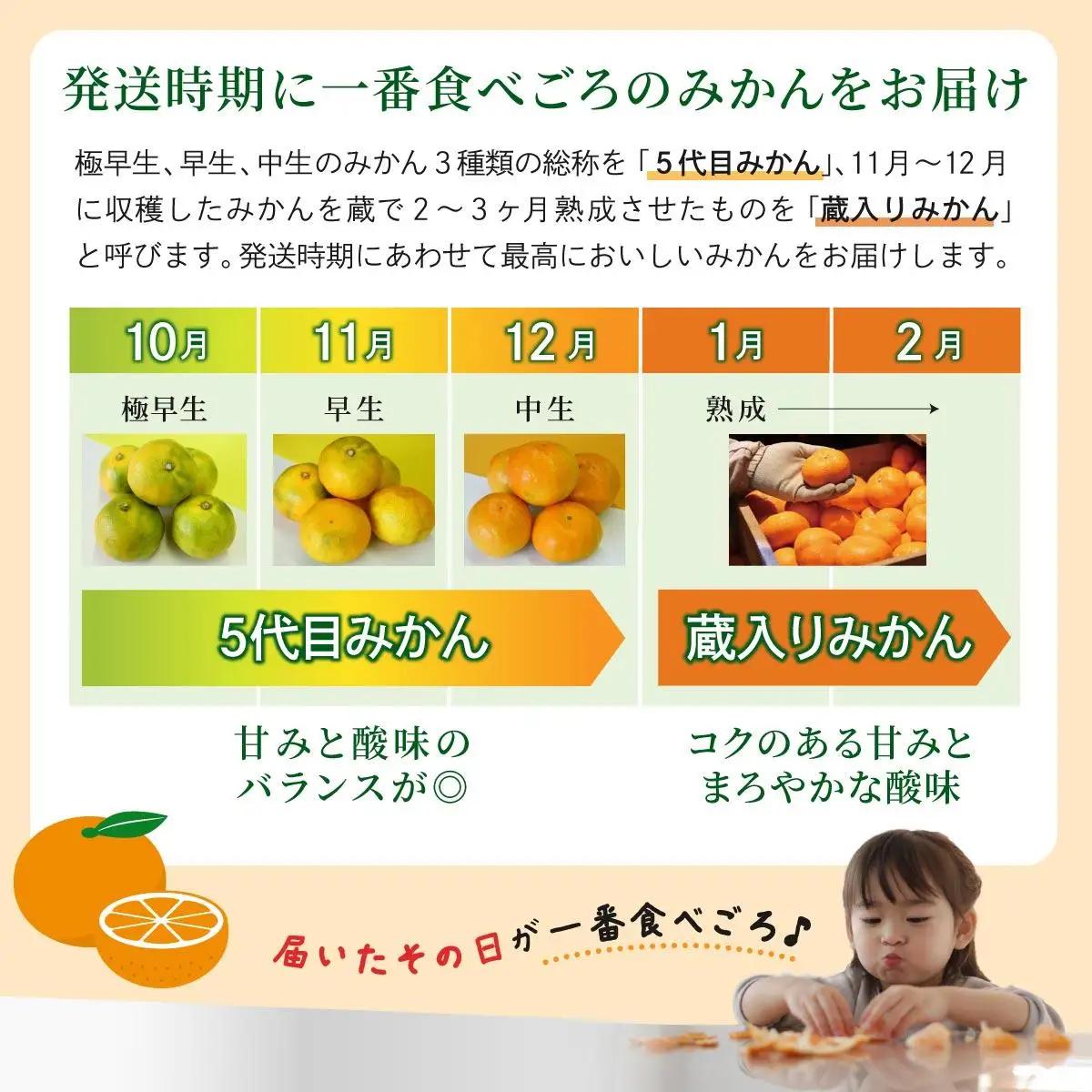 【期間限定】さがみかん (5代目みかん) 9.5kg【温州みかん 甘い 濃厚 ジューシー コク 完熟 熟成みかん 蔵出し 蔵入り 柑橘 密柑 ギフト 果物 フルーツ 佐賀県産 佐賀県 大和 太良 石橋
