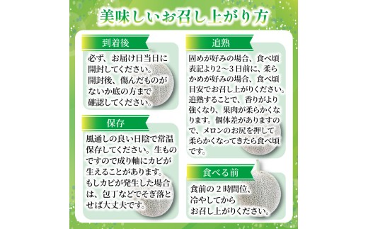 ＜ 2027年 先行予約 ＞ 訳あり メロン 青肉 約 5. 5kg 3 ～ 6玉  【総合ランキング5位獲得！】 国産 ワケあり めろん 糖度 果物 旬 夏 人気 おすすめ 産地直送 フルーツ デザート 傷 不揃い 規格外 訳あり品 貴味メロン 飯岡メロン 飯岡 果実 果汁 贅沢 ご褒美 千葉県 旭市 スズキメロンファーム smf008_X3