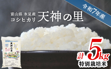 令和7年産 富山県産 特別栽培米 コシヒカリ 天神の里 ５kg 　｜　お米 白米 精米 氷見 富山 米 国産 特別栽培 5kg エコファーマー 数量限定 コシヒカリ こしひかり 特別栽培米 安心 環境にやさしい 農家直送 