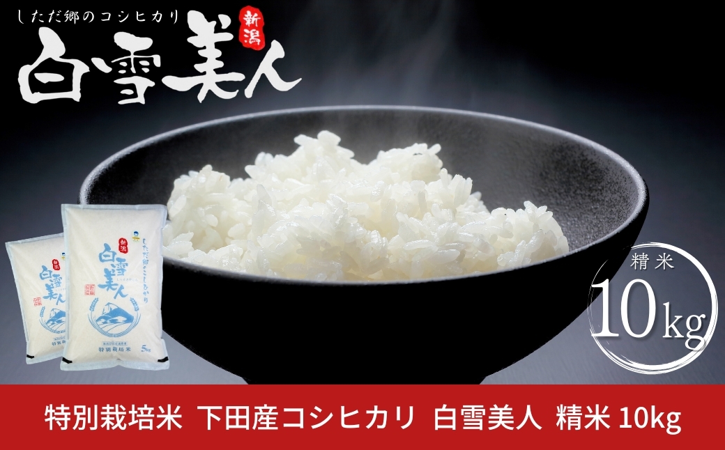 
                  令和7年産米 特別栽培米 下田産コシヒカリ「白雪美人」 精米 10kg（5kg×2）新潟県 こしひかり 三条産 新潟県産【021S029】
                