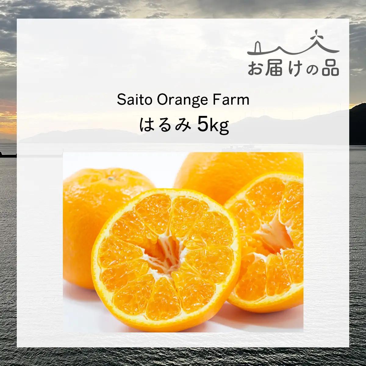【先行予約】Saito Orange Farmのはるみ5kg（2027年2月上旬頃より順次発送予定） IKTAQ016