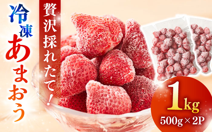 
                  【農家直送！】 冷凍あまおう 1kg（500g×2パック）いちご 苺 糸島市 / みのりのりん [ABD006]
                