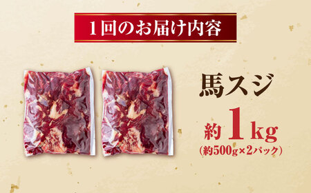 【全3回定期便】 馬スジ 計3kg 1回あたり1kg（500g×2パック） / 肉 お肉 馬肉 スジ 筋 煮込み 冷凍【五右衛門フーズ熊本店】[AYBV031]