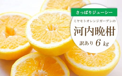 ＜2025年4月下旬＞苦味の少ない和製グレープフルーツ 河内晩柑6kg(訳あり)＜C25-136＞【1151745】