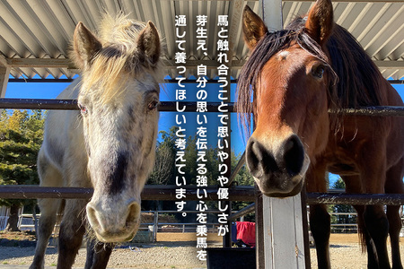 ★ROCKY★ 乗馬体験チケット 30分 体験 チケット 券 乗馬 馬 うま ウマ 子供 大人 初心者 経験者 歓迎 92-B