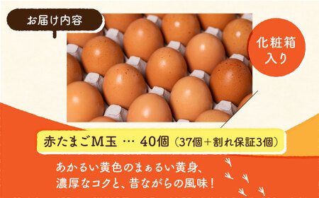 【化粧箱入り】赤たまご M玉 40個（37個＋3個割れ保証）【農事組合法人 鹿本養鶏組合】タマゴ 玉子 熊本県たまご 卵 国産たまご 新鮮たまご あかたまご M玉たまご 熊本たまご 濃厚たまご [ZC