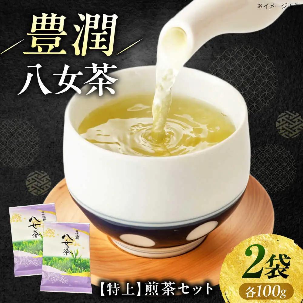 八女茶【特上】煎茶セット 100g×2袋 VEH018 お茶 