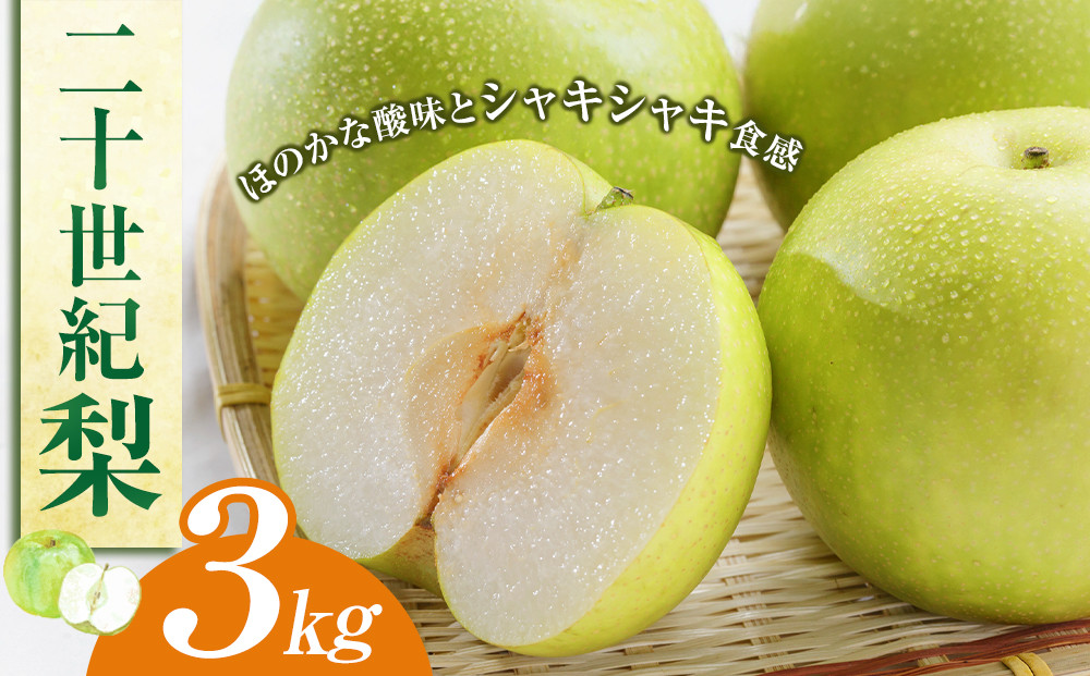 二十世紀梨　３ｋｇ（ＪＡ）　※2026年8月下旬～9月上旬頃に順次発送予定 313726_AT009