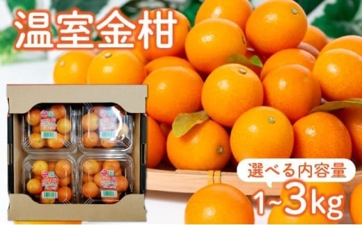 
            KU434 【先行予約・数量限定】温室金柑 1～3kg(250g×4～12パック)
          