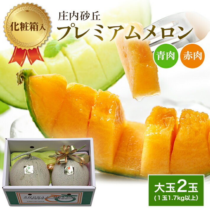 【ふるさと納税】庄内砂丘プレミアムメロン 大玉 青肉メロン・赤肉メロン 各1玉 1.7kg以上 計2玉 3.4kg以上 6月下旬〜8月上旬頃お届け ※着日指定不可 夏 果物 フルーツ メロン 青 赤 セット 詰合せ 東北 山形県 酒田市 庄内 庄内砂丘 砂丘メロン 農協 JA 直送 化粧箱 リボン