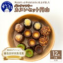 【ふるさと納税】第95回ギフトショー 審査員特別賞受賞 スイーツ カヌレ グルテンフリー カヌレ セット 円山 6種 12個 入り ホワイトデー 低糖質 高たんぱく 食物繊維 豊富 焼菓子 おからパウダー 米粉 冷凍 お取り寄せ うまいもん 大阪府 吹田市