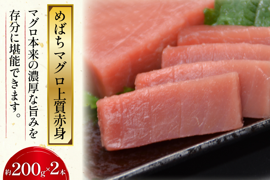北かつのマグロ上質セット (マグロ中トロ 200g マグロ上質赤身 200g×2 メカジキ 200g びんちょう 200g）合計1kg [北かつ商事 宮城県 気仙沼市 20563511] 魚 鮪 マグ