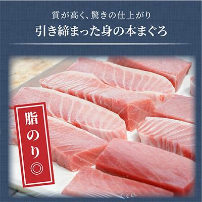 ふるさと納税 松浦市 鷹島産本まぐろ大トロ600g |  | 02