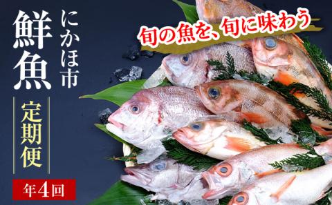 開けたらすぐ食べられる日本海の鮮魚定期便（２～３人前・年４回）(魚介 下処理済み 詰合せ 詰め合わせ セット)