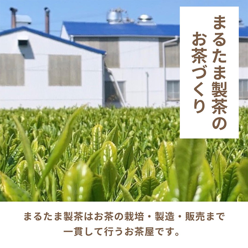 静岡茶1kg 静岡県産【栽培期間中除草剤不使用】の静岡茶 ご家庭用サイズ茶葉1kg（500g×2袋セット）