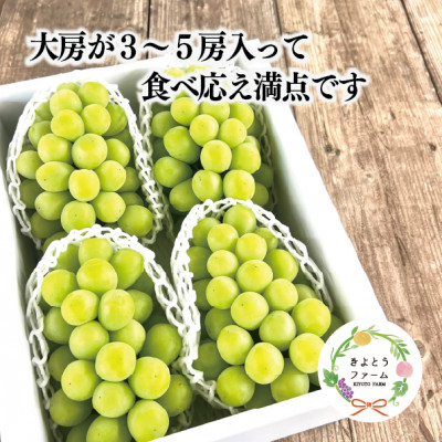 【2026年先行予約】シャインマスカット 上級品 大3-5房/計2.4kg～(岡山県産)【配送不可地域：離島】