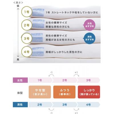 ふるさと納税 西脇市 (エアウィーヴ グループ)ロフテー「5セルピロー エラスティックパイプ」サイズ1号 |  | 03