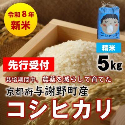 ふるさと納税 与謝野町 【先行受付】令和8年新米　京都丹後産コシヒカリ　精米5kg　栽培期間中、農薬を減らして育てたお米