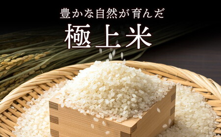 とちあいか（約300g×2パック）＆令和8年産無洗米コシヒカリ5kgセット！｜いちご とちあいか 米 | お米 白米 米 こめ コメ 5キロ 尚仁沢湧水 栃木県 塩谷町 ※2026年12月～発送