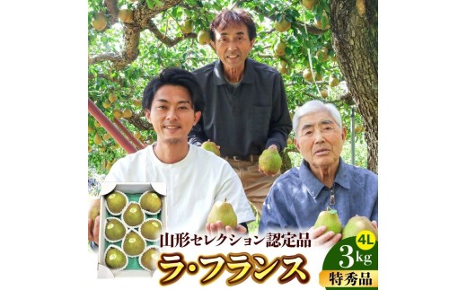 【山形セレクション認定品】ラ・フランス　３ｋｇ　特選　ギフト用　0078-2604