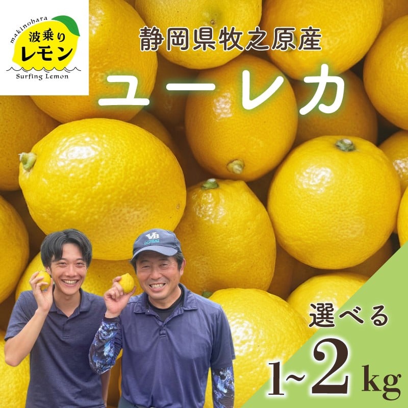 
                  【国産】牧之原産 波乗りレモン ユーレカ ゆーれか 1~2kg 国産 Lemon 檸檬  柑橘類 柑橘 フルーツ  柑橘類 柑橘 フルーツ 果物 酸っぱい 酸味 防腐剤不使用 自宅用 贈答品 レモンスカッシュ レモンパウンドケーキ レモンサワー くだもの 家庭用 静岡県産 農家直送 産地直送 産直 ビタミン ビタミンC グリーンレモン イエローレモン おすすめ 美味しい  静岡県 牧之原市
                