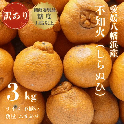 【ふるさと納税】【糖度14.0以上 酸1.4以下】糖酸選別品 訳あり 不知火 (しらぬひ) 3kg【C20-58】【配送不可地域：離島】【1620248】
