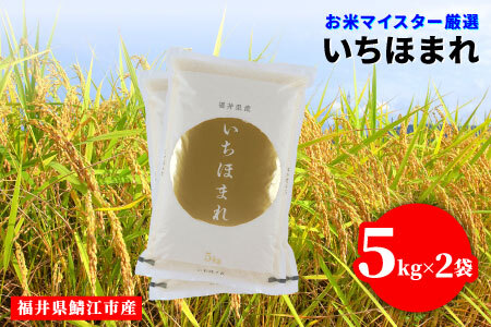 数量限定 ※令和6年産※ いちほまれ 10kg（5kg × 2袋）