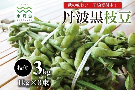  《先行予約》丹波黒枝豆 枝付き 3kg 京都 京丹波町産 【 枝豆 おつまみ 】[010KK008L]