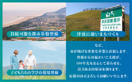 《返礼品なし》愛知県田原市への寄付 3,000,000円分 応援寄附金 応援 選べる 金額 使い道 愛知県 田原市 渥美半島
