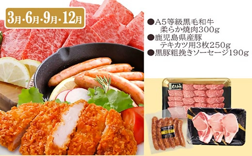 定期便(3回配送)黒毛和牛・黒豚&薩摩の甘エビ　DD5-0002【1573827】 _ 肉 お肉 魚 牛肉 豚肉 かつお A5等級 黒毛和牛 切り落とし 黒豚 小間切れ 天然 タカエビ 海老 鰹 タタ