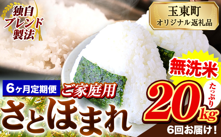 【6ヶ月定期便】熊本県産 さとほまれ 無洗米 ご家庭用 定期便 20kg 《お申込み月の翌月から出荷開始》熊本県 玉名郡 玉東町 米 こめ コメ ブレンド米 送料無料---gkt_sthmltei_20kg_339000_mo6---