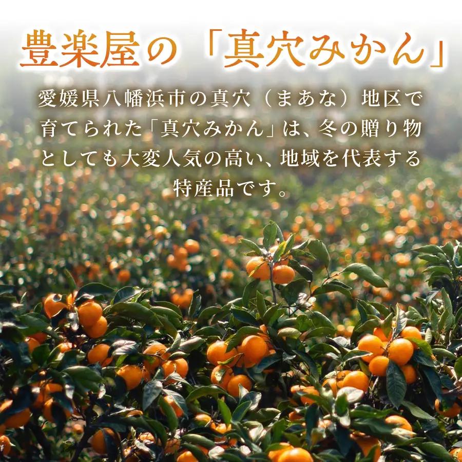 【先行受付】【農家直送でお届け！】果汁たっぷり真穴産みかん 3kg(2S~Sサイズ)【C98-19】【1711300】 YWTBU019