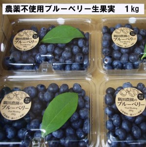 ブルーベリー 朝摘みブルーベリー 生果実 1kg＜すだ農園＞ 新鮮ブルーベリー ブルーベリー ブルーベリー果実 ブルーベリー