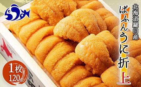 【ふるなびWEEK対象】エゾバフンウニ 折ウニ (上) 120×1枚 FN-Limited-PR