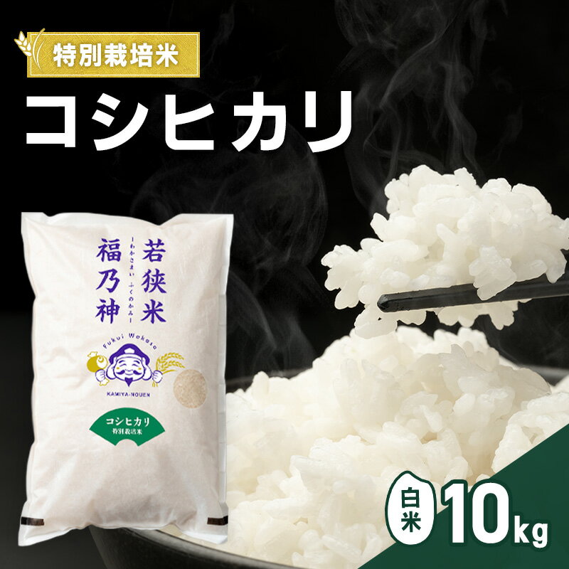【ふるさと納税】令和8年産 特別栽培米 コシヒカリ 10kg（白米） 米 お米 こしひかり 若狭町　お届け：2026年10月上旬～2027年3月下旬