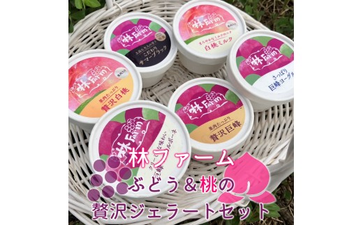 14-53_【数量限定】ぶどう＆桃の贅沢ジェラートセット ｜ ジェラート アイス  ソルベ スイーツ デザート 洋菓子 セット 詰め合わせ 6個 ぶどう ブドウ 巨峰 サマーブラック ヨーグルト 白ぶどう マスカルポーネチーズ 白桃 ミルク 果肉