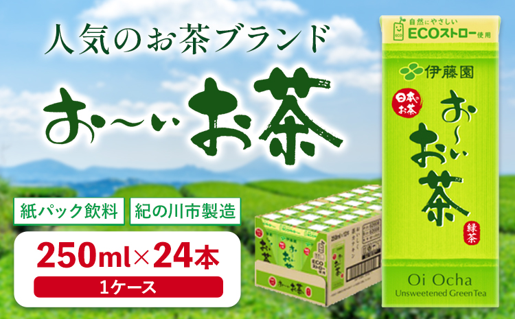 紀の川市産 紙パック飲料 おーいお茶 250ml×24本 1ケース 株式会社伊藤園 《30日以内に出荷予定(土日祝除く)》 和歌山県 紀の川市 お茶 おーいお茶 緑茶 日本茶 送料無料(F-1)