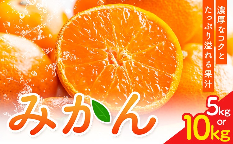
                  みかん5kg または 10kg 高橋商店《10月下旬-1月中旬頃出荷》熊本県 苓北町 柑橘 かんきつ 果物 フルーツ みかん
                