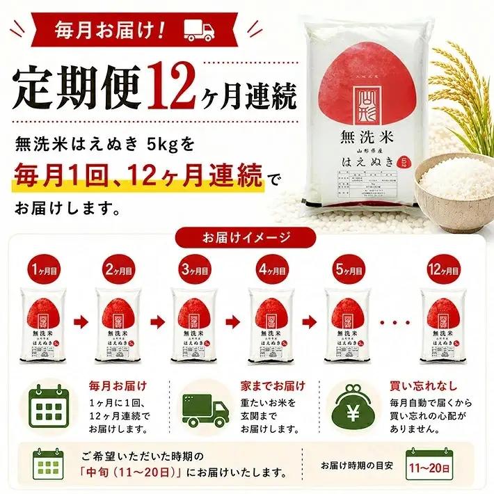 (12月～11月)≪12ヶ月定期便≫ 無洗米 はえぬき 5kg×12ヶ月連続 計60kg 山形県産 毎月中旬にお届け 東北 山形県 遊佐町 庄内地方 精米 白米 セット 阿部ベイコク[1543T12]
