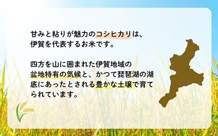 米 令和7年産 伊賀米コシヒカリ 8kg（3kg＋5kg） コシヒカリ【jaig0001】