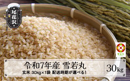 令和7年産 新米 玄米 雪若丸 30kg 30kg×1袋 2月下旬発送 ko-ywgxa30-2s