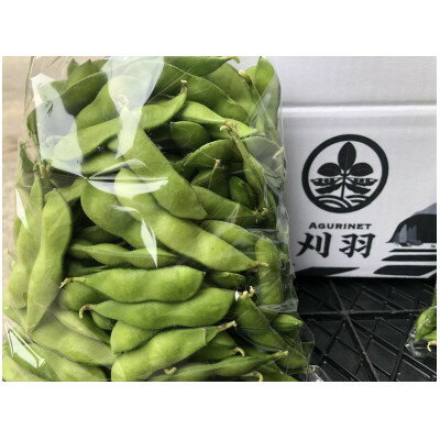 【ふるさと納税】新潟県刈羽村産　中生茶豆3kg(500g×6パック)【配送不可地域：離島・北海道・沖縄県】【1546660】