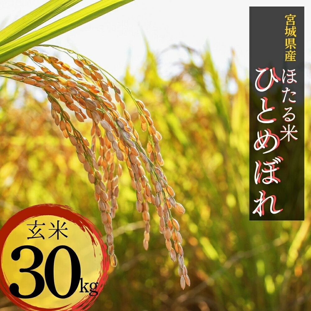 【ふるさと納税】【令和7年産米】ほたる米 ひとめぼれ 玄米 30kg 特別栽培米 宮城県産 お米 ごはん 米 朝ごはん こめ コメ オンラインワンストップ 対応 自治体マイページ 宮城県 みずほファーミング