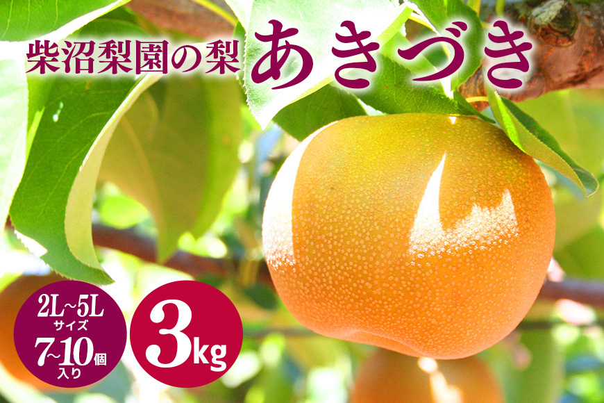 柴沼梨園の梨（あきづき）3kg 大玉 7～10個入り ナシ なし 国産 茨城 秋 旬 フルーツ 果物 先行予約【9月上旬～9月中旬発送】秋の味覚 旬の果物 くだもの 大きい サイズ 品種 あきづき 産