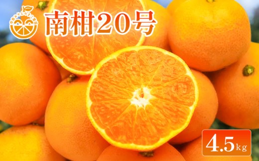 【2026年11月下旬から順次発送】 中島産 南柑20号 約4.5kg 中島みかんのまこ農園 | 愛媛産 愛媛県産 国産 蜜柑 柑橘 フルーツ 果物 くだもの お取り寄せ 数量限定 人気 おすすめ 愛媛県 松山市 送料無料