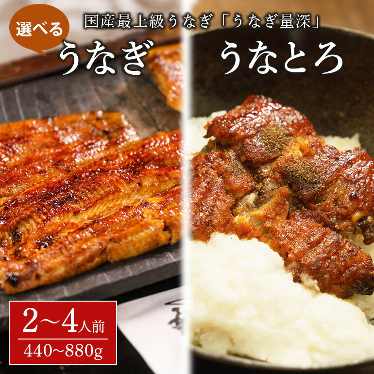 【ふるさと納税】【TVで紹介されました】うなぎの量深 うなぎ 鰻 選べる 2〜4人前 440g 660g 880g 2〜4尾 土用の丑の日 ウナギ うなとろ おすすめ 蒲焼き 蒲焼 国産 解凍 冷凍 加工品 土用 丑の日 お歳暮 お中元 お祝い 笠間市 茨城県 とろろ 老舗 贈答 贈り物 真空パック