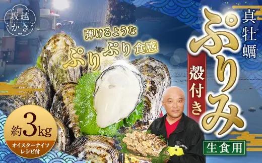 生食用 真牡蠣「ぷりみ」約3kg かき 牡蠣