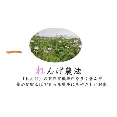 ふるさと納税 寝屋川市 しあわせのれんげっ娘5kg(無洗米) |  | 01