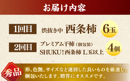 フルーツ 【先行予約】【10個限定】【全2回定期便】柿の贅沢セット！ 合わせ柿6玉 プレミアム干し柿SHUKU  L玉以上4玉   島根県松江市/マルカミ農縁株式会社 [ALCM017] フルーツ フ